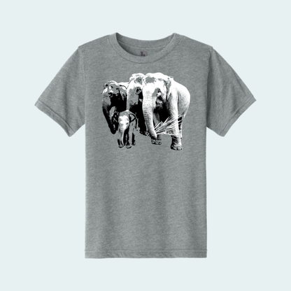 Asian Elephants Fundraiser (Limited Edition for June) Youth Tee