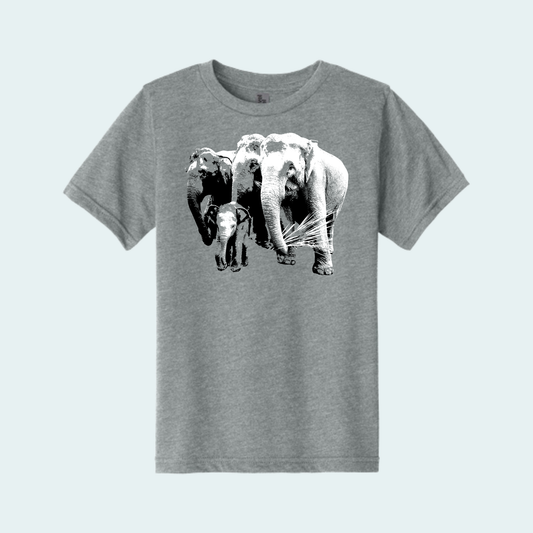 Asian Elephants Fundraiser (Limited Edition for June) Youth Tee