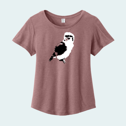 Pygmy falcon (Limited Edition) Women’s Relaxed Scoop Neck Tee