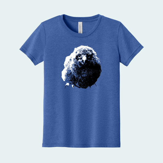 Snowy Owl Chick (Limited Edition for January) Youth Tee