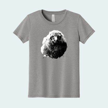 Snowy Owl Chick (Limited Edition for January) Youth Tee