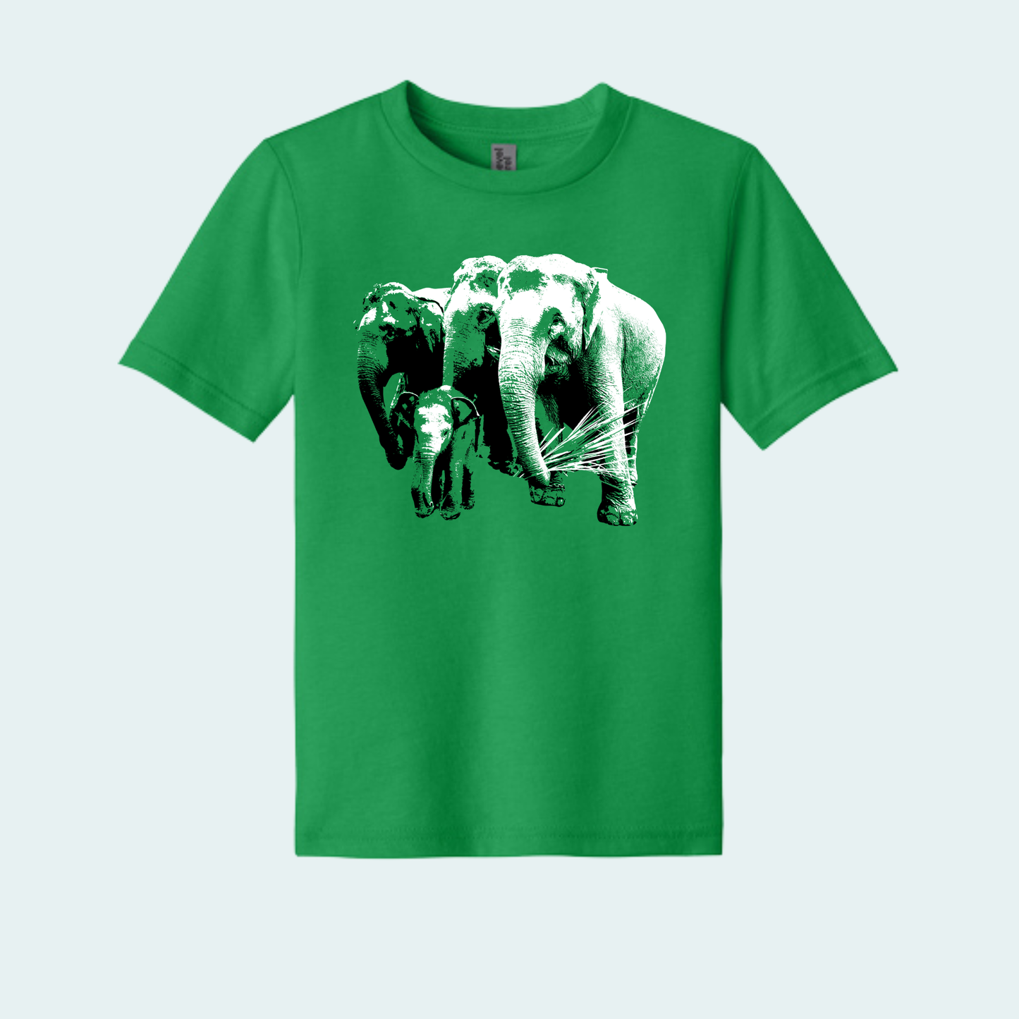 Asian Elephants Fundraiser (Limited Edition for June) Youth Tee