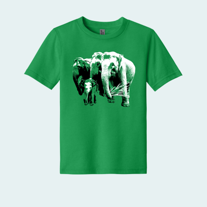 Asian Elephants Fundraiser (Limited Edition for June) Youth Tee