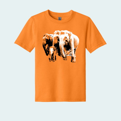 Asian Elephants Fundraiser (Limited Edition for June) Youth Tee