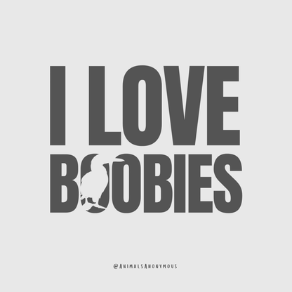 I Love Boobies