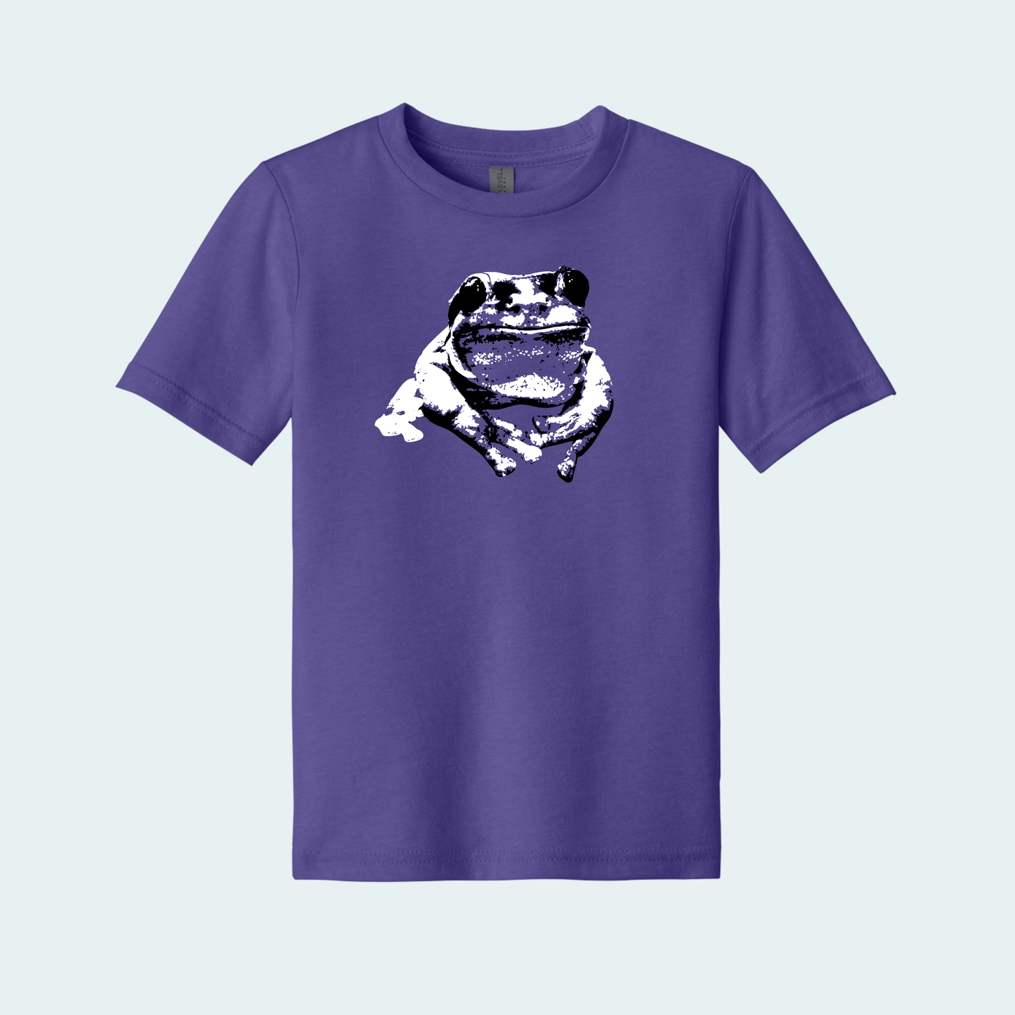 Splendid Tree Frog (Limited Edition for December) Youth Tee