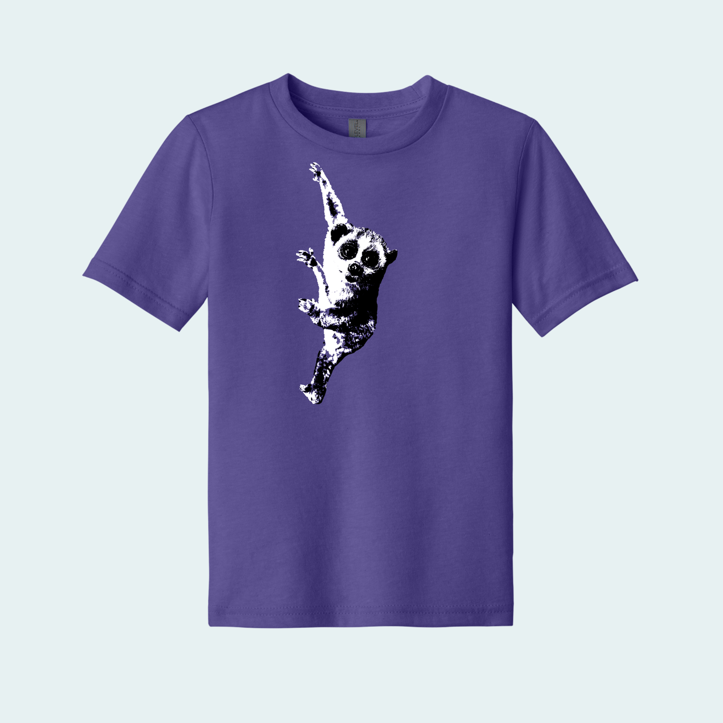 Pygmy Slow Loris (Limited Edition for December) Youth Tee