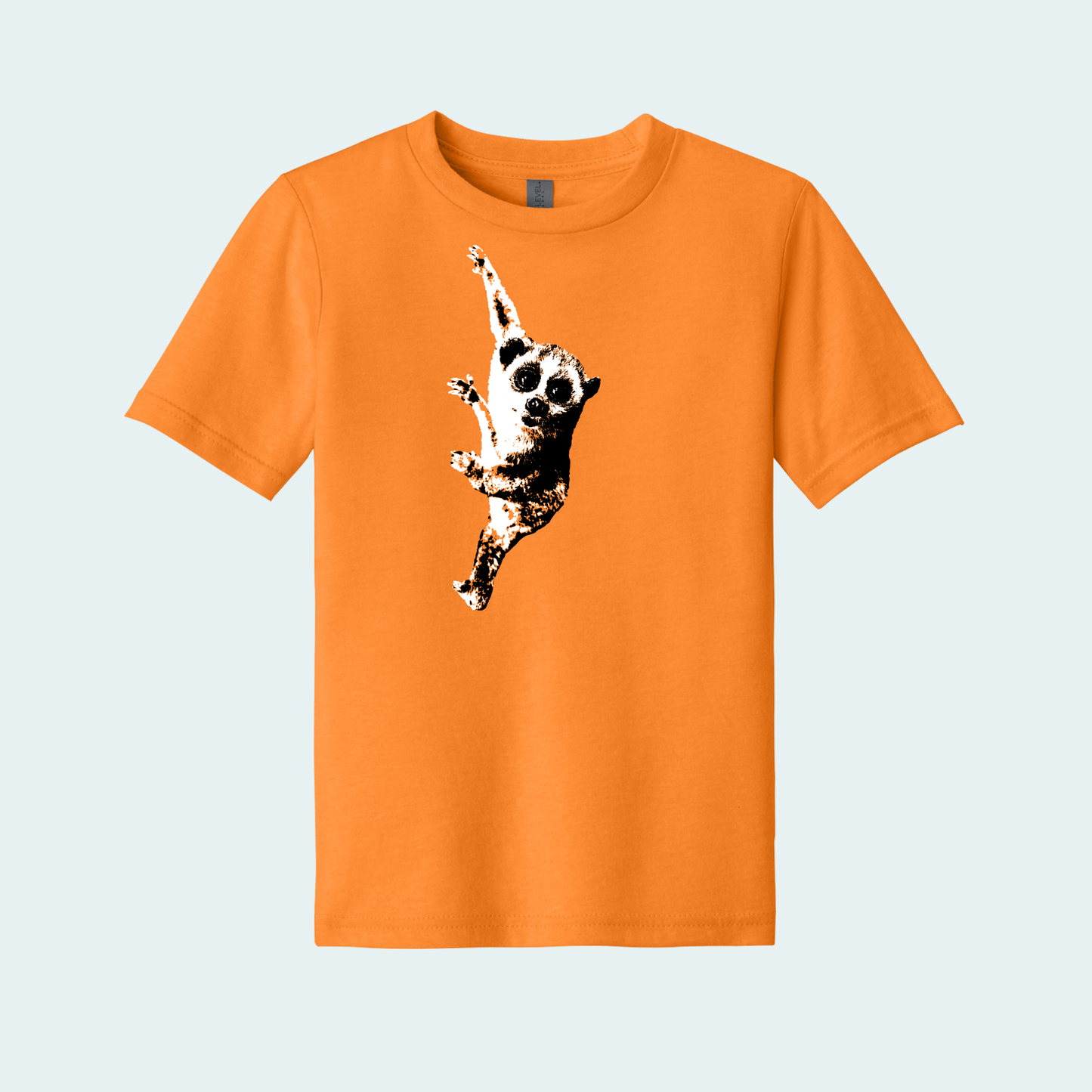 Pygmy Slow Loris (Limited Edition for December) Youth Tee