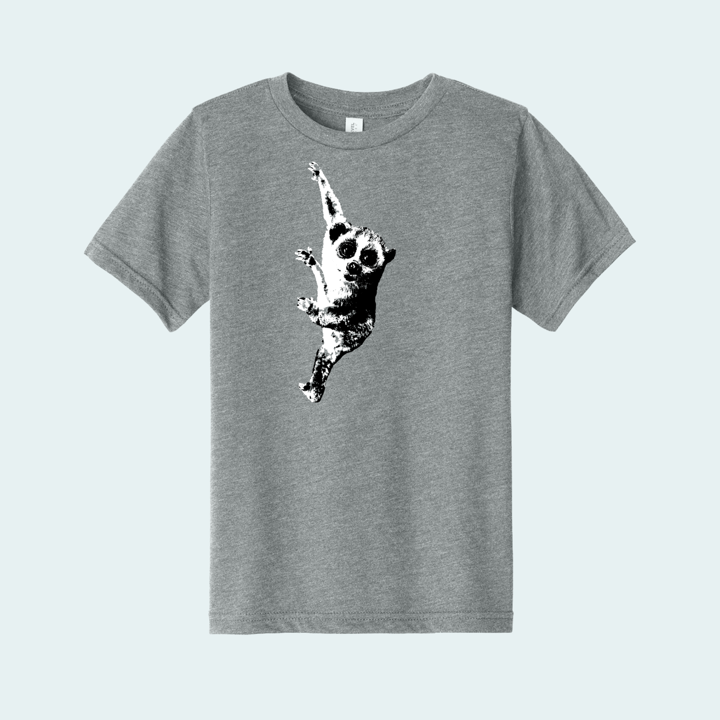 Pygmy Slow Loris (Limited Edition for December) Youth Tee