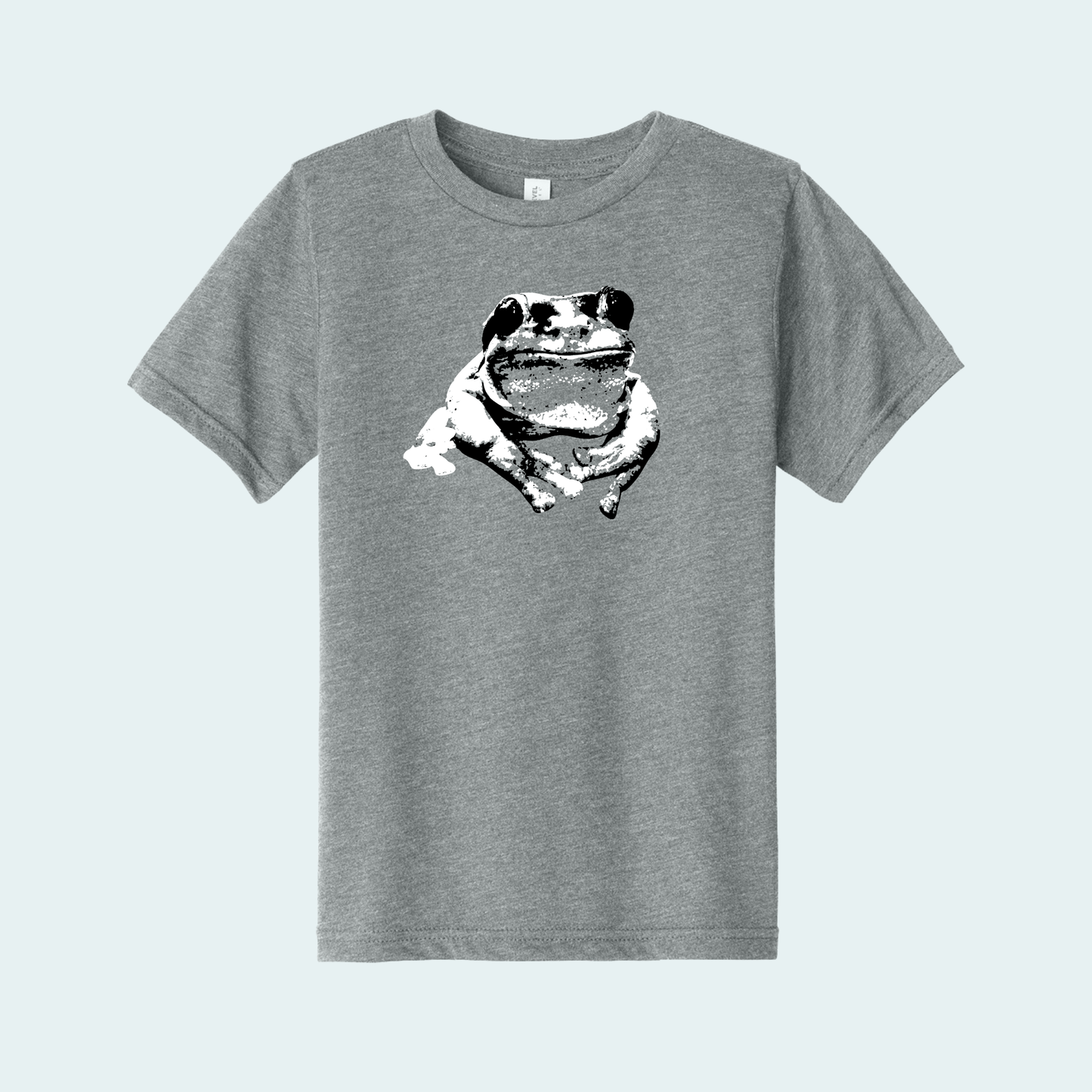 Splendid Tree Frog (Limited Edition for December) Youth Tee