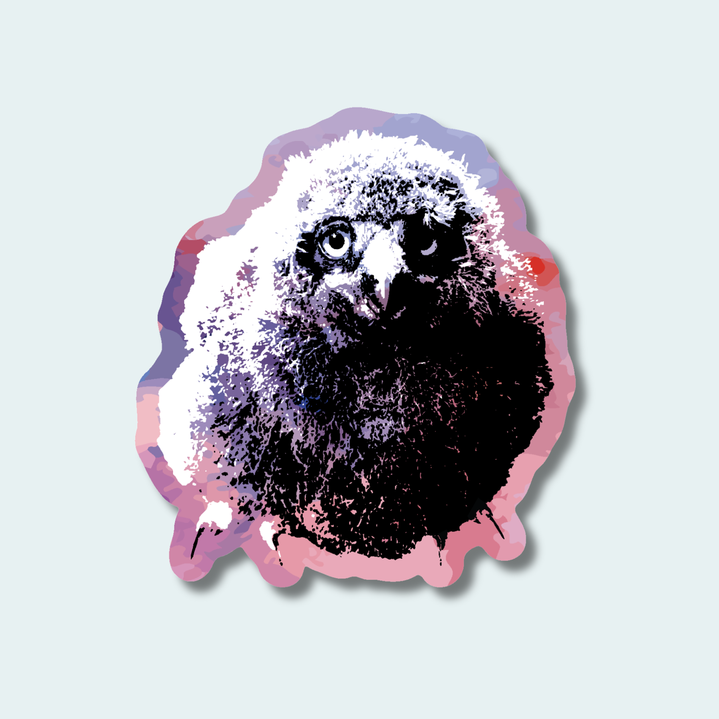 Snowy Owl Chick (Limited Edition for January) 4in Sticker