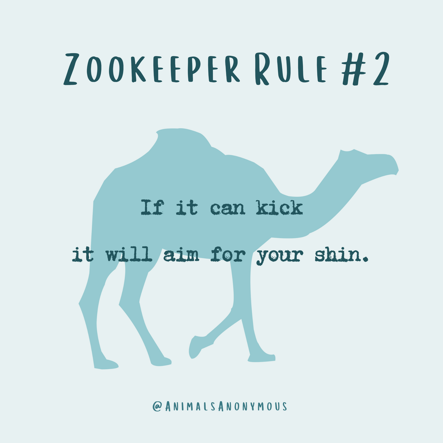 Zookeeper Rule (Limited Edition for November) Tee