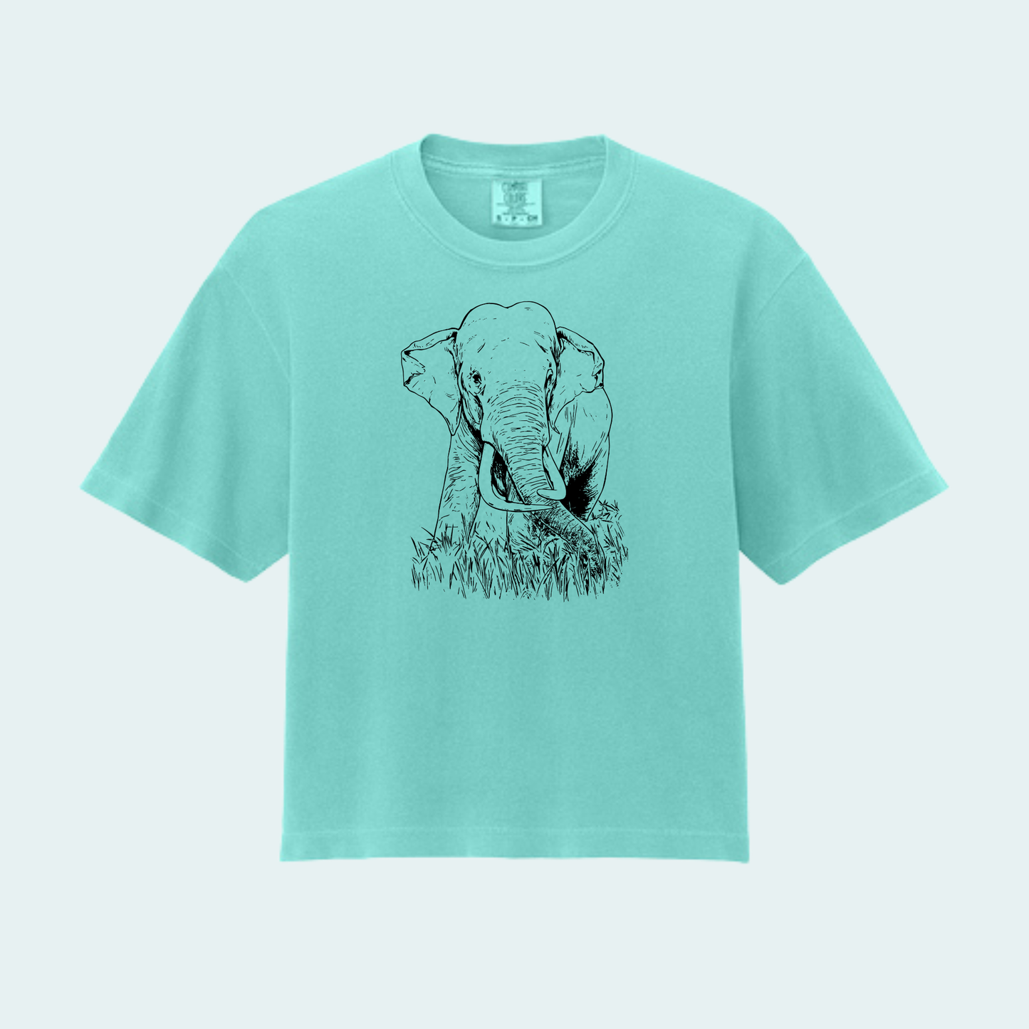 Asian Bull Elephant Fundraiser (Limited Edition for August) Women’s Boxy Crop Tee