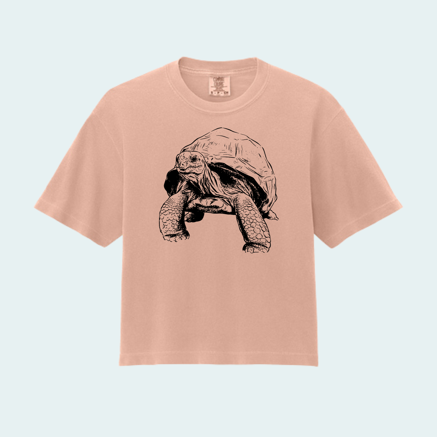 Aldabra Tortoise (Limited Edition for September) Women’s Boxy Crop Tee