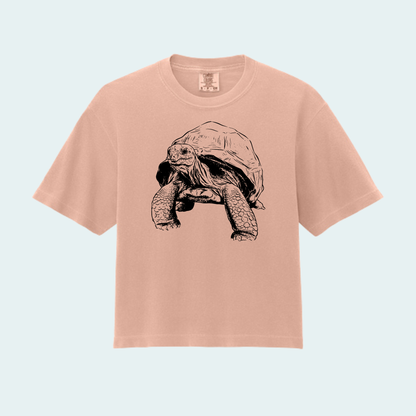 Aldabra Tortoise (Limited Edition for September) Women’s Boxy Crop Tee