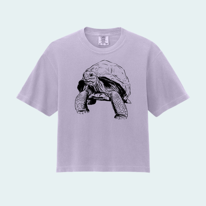 Aldabra Tortoise (Limited Edition for September) Women’s Boxy Crop Tee