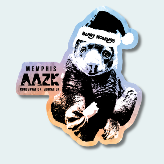 Bear Cuscus (Fundraiser for Memphis AAZK) (Limited Edition for December) 4in Sticker