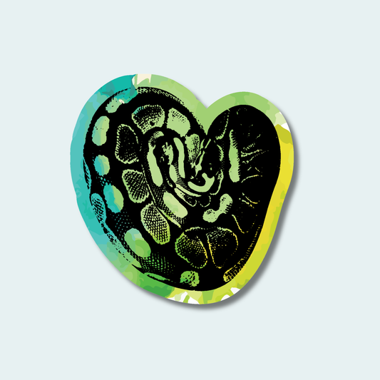 Ball Python (Limited Edition for February) 4in Sticker