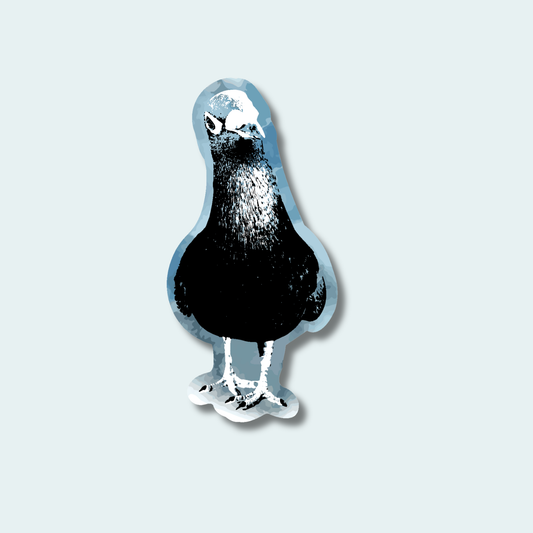 Pigeon (Limited Edition for February) 4in Sticker