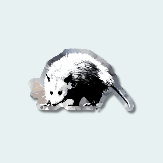 Opossum (Limited Edition for February) 4in Sticker