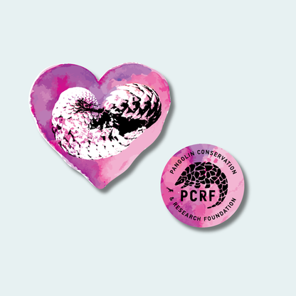 Pangolin Conservation and Research Foundation (Fundraiser) (Limited Edition for February) 4in & 2in Sticker
