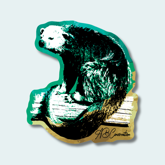 Binturong Fundraiser (Limited Edition for May) 4in Sticker