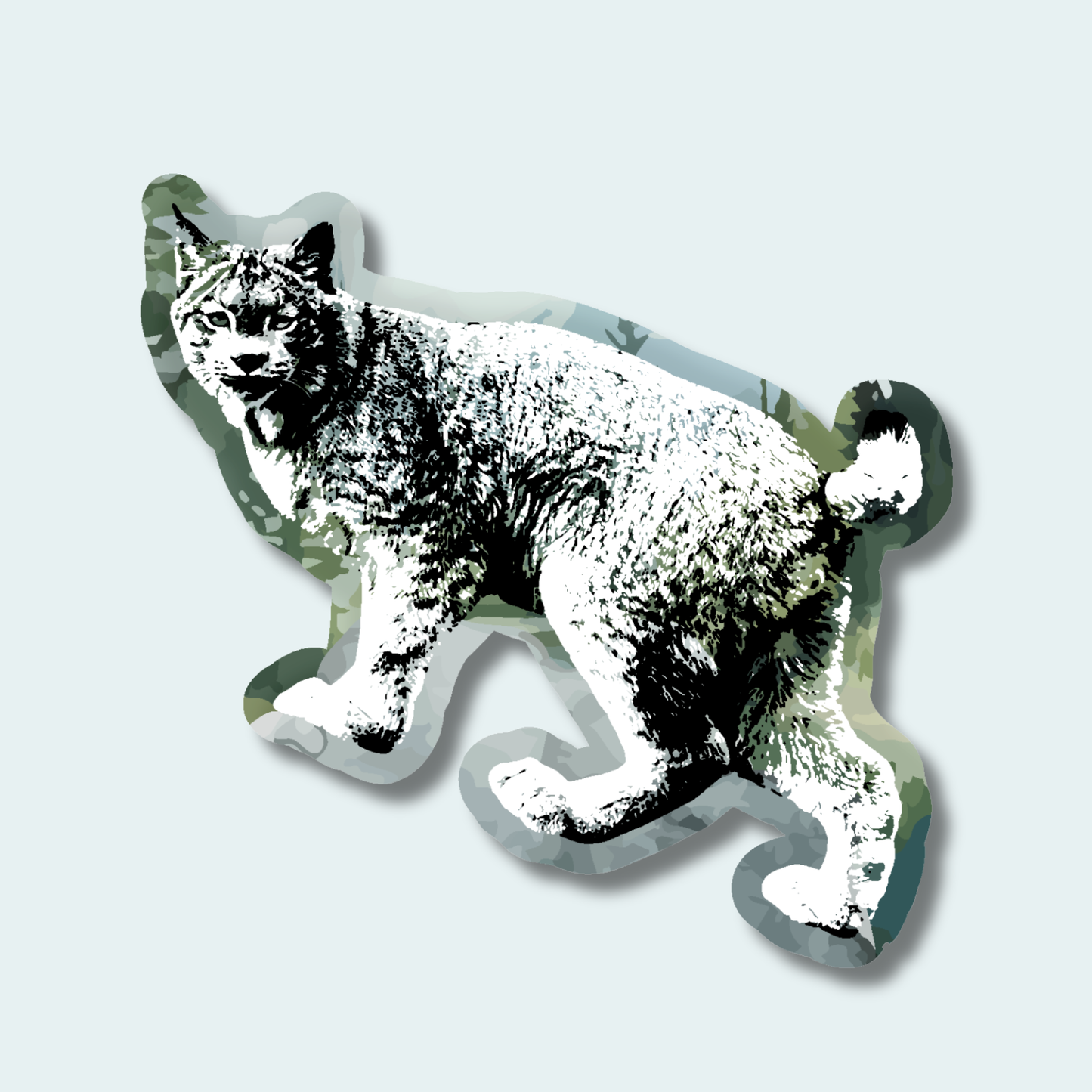 Canadian Lynx (Limited Edition for June) 4in Sticker