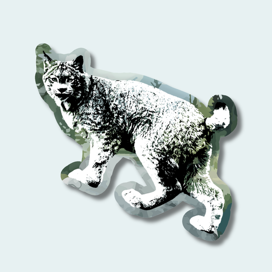 Canadian Lynx (Limited Edition for June) 4in Sticker