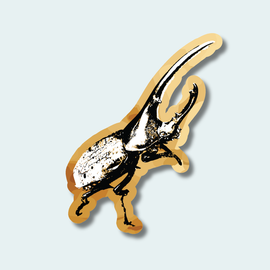 Hercules Beetle (Limited Edition for June) 4in Sticker