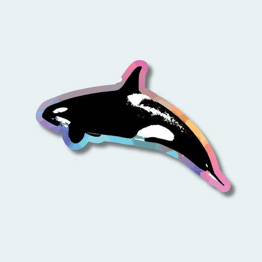 Orca (Limited Edition for June) 4in Sticker
