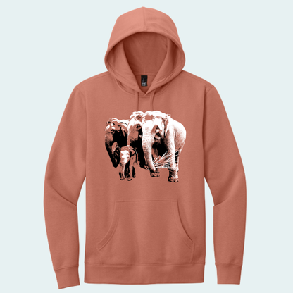 Asian Elephants Fundraiser (Limited Edition for June) Hoodie