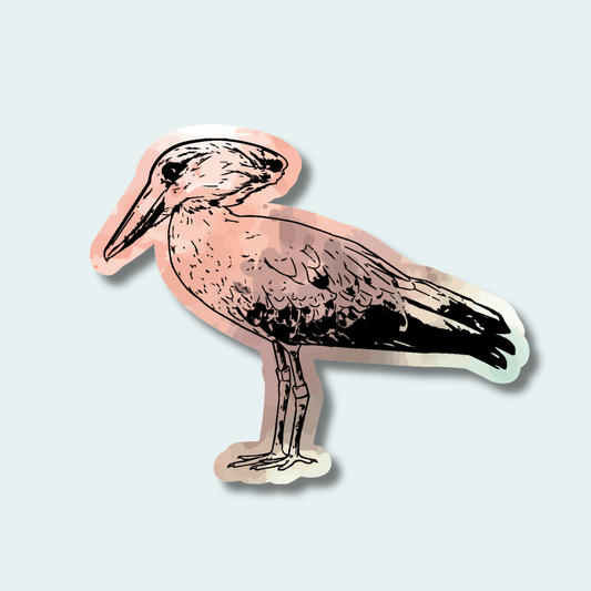 Hamerkop (Limited Edition for July) 4in Sticker