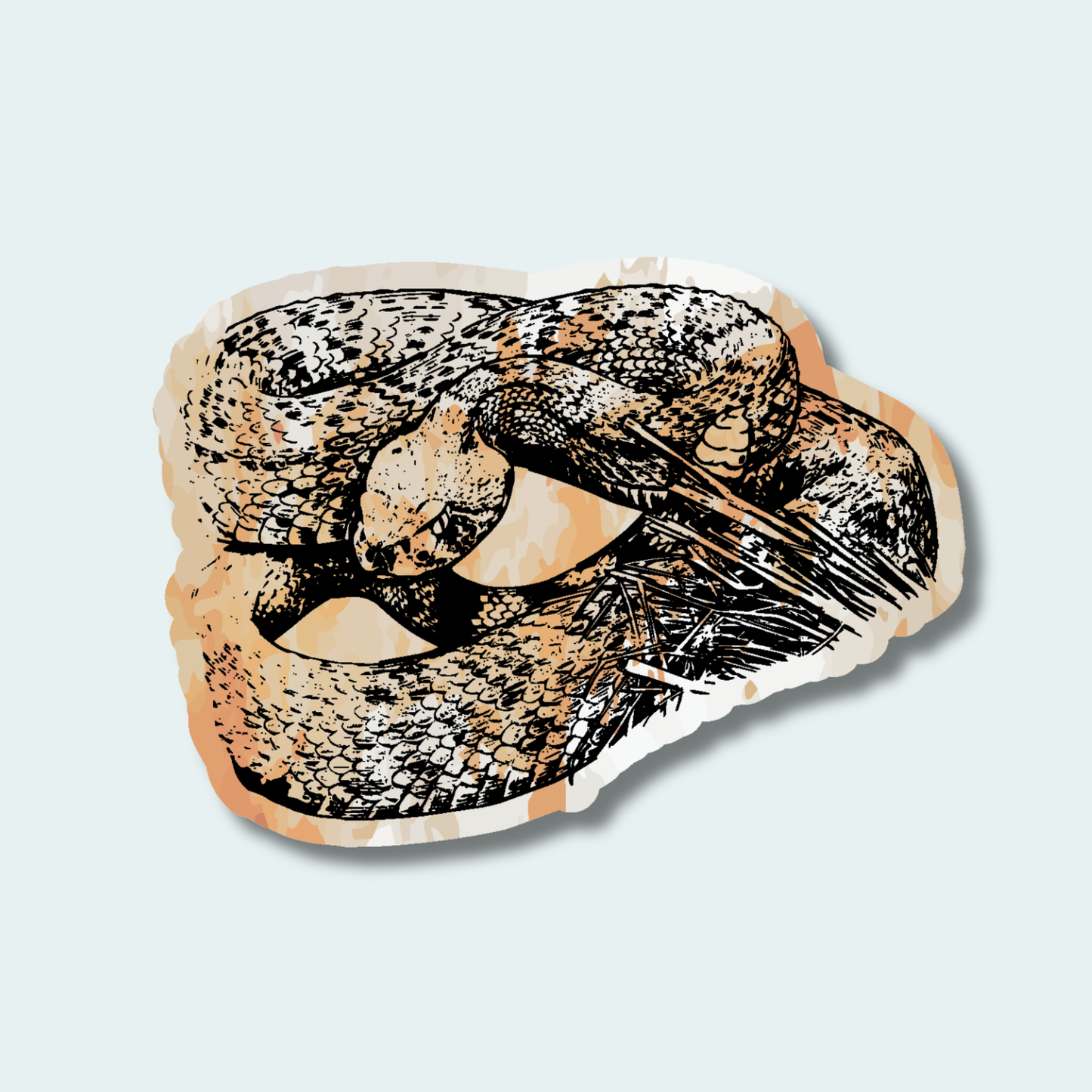 Western Diamondback Rattlesnake (Limited Edition for July) 4in Sticker