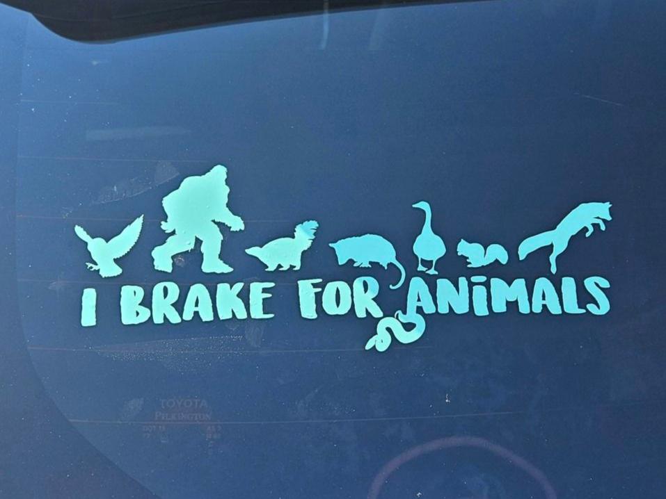 I brake for animals (and big foot) - Vinyl Decal (Made to Order)