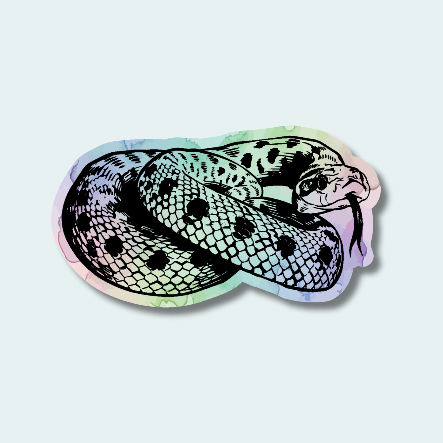 Western Hognose Snake (Limited Edition for August) 4in Sticker