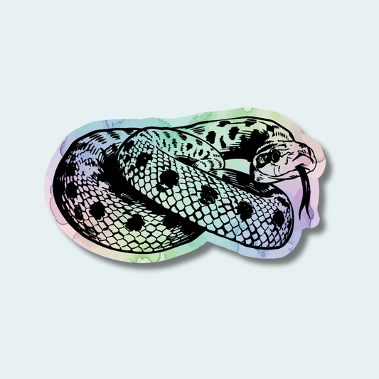 Western Hognose Snake (Limited Edition for August) 4in Sticker