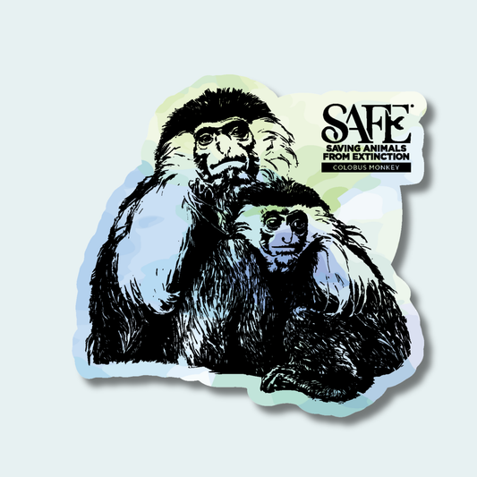 Angolan Colobus Fundraiser (Limited Edition for August) 4in Sticker