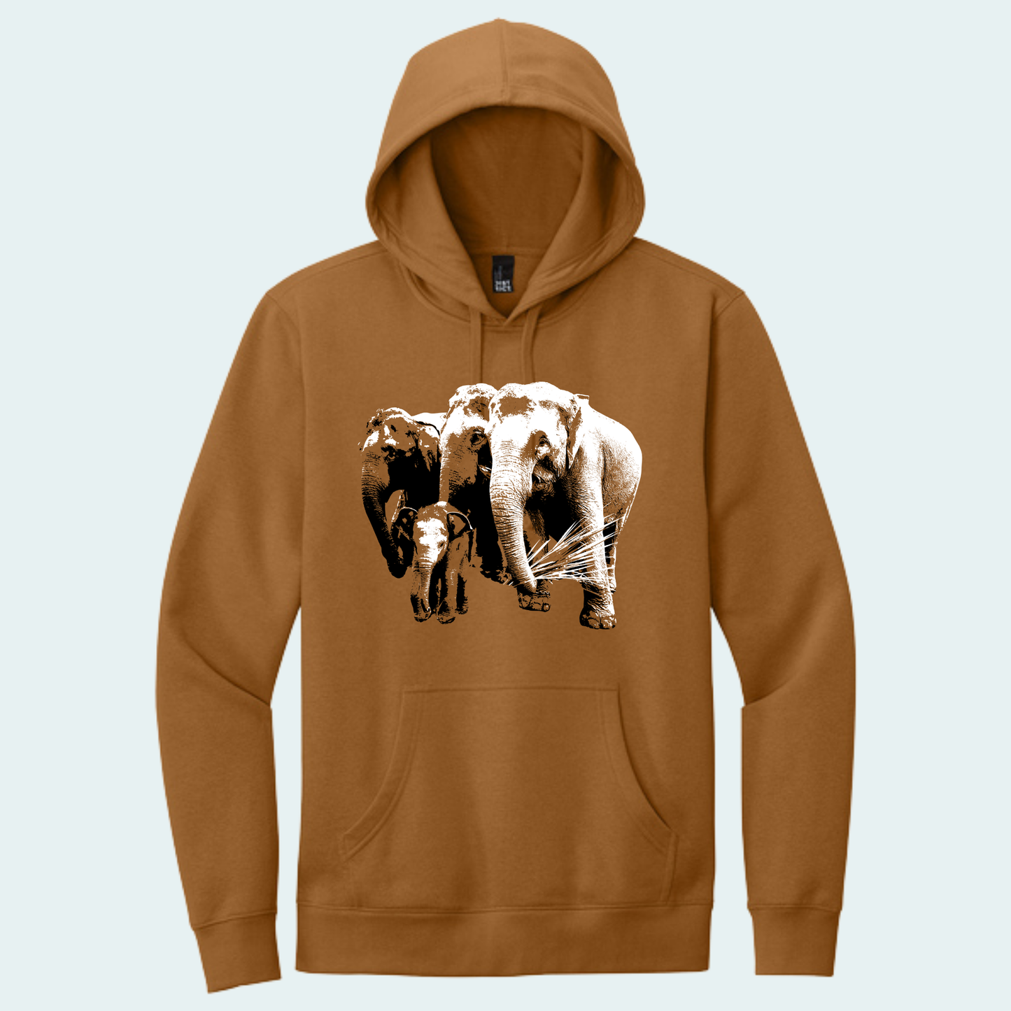 Asian Elephants Fundraiser (Limited Edition for June) Hoodie