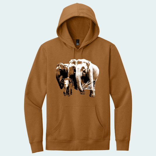 Asian Elephants Fundraiser (Limited Edition for June) Hoodie
