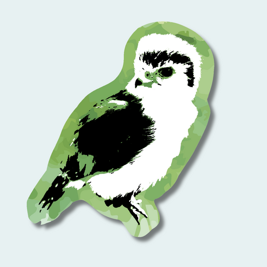 Pygmy Falcon (Limited Edition) 4in Sticker