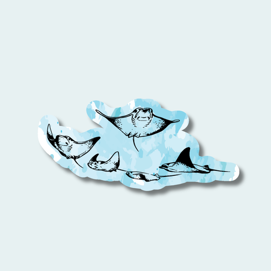 Cownose Rays (Limited Edition for October) 4in Sticker