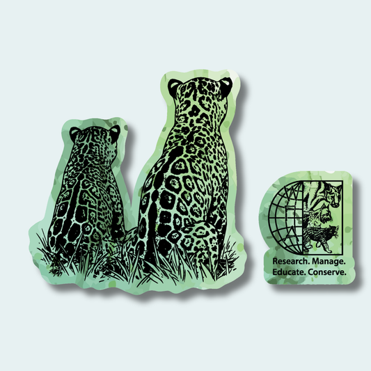 Two Jaguars -Fundraiser for Wild Cat Research and Management (Limited Edition for October) 4in and 2in Sticker