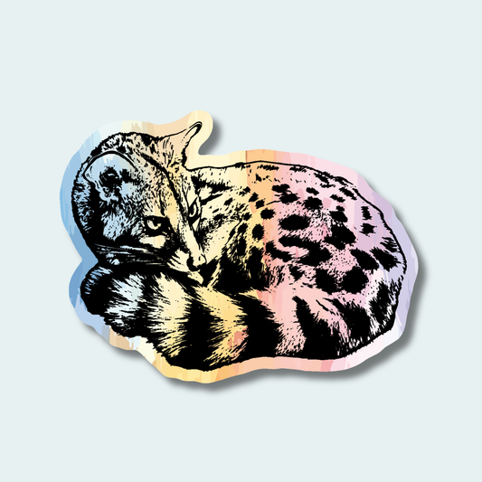 Large Spotted Genet (Limited Edition for October) 4in Sticker