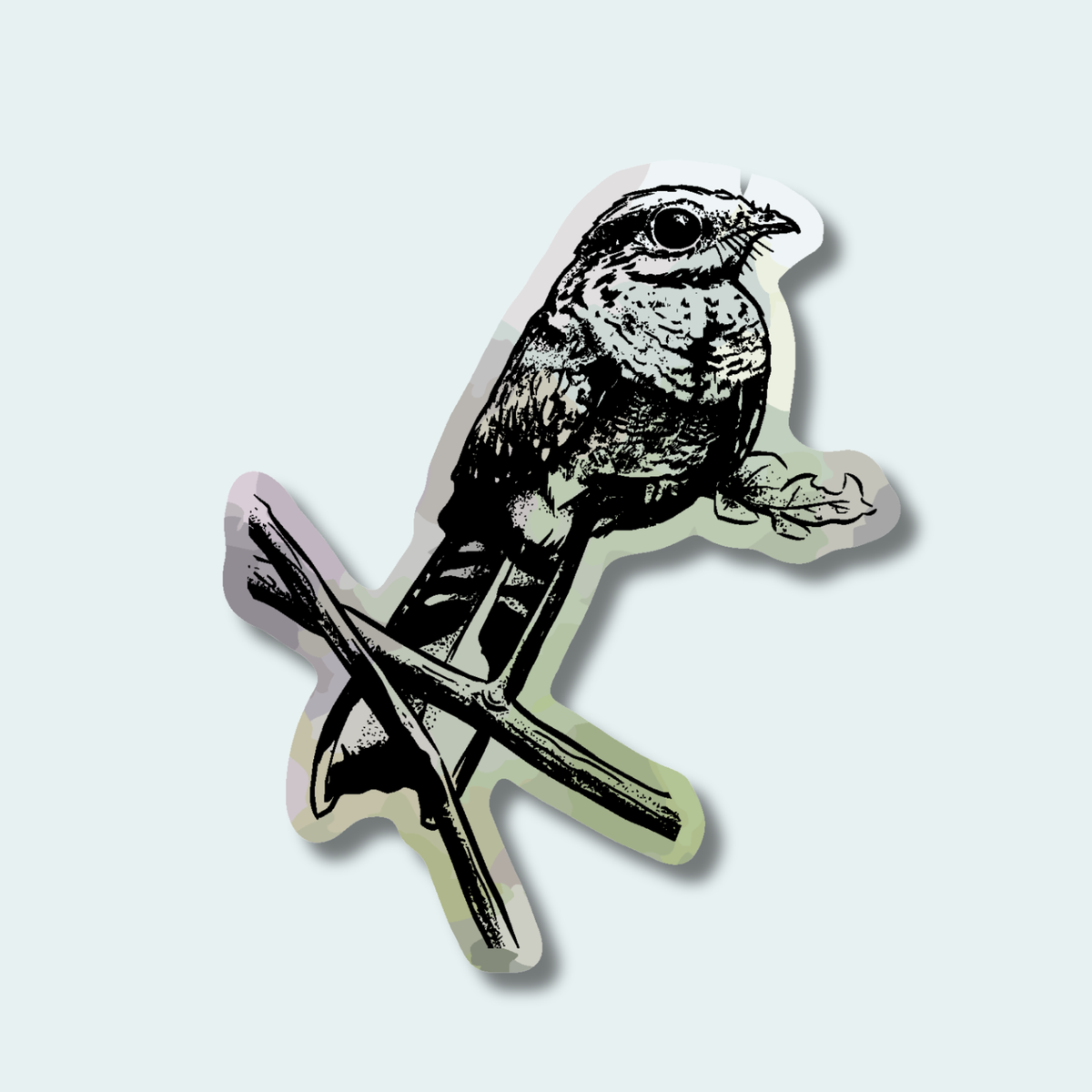 Night Jar (Limited Edition for October) 4in Sticker