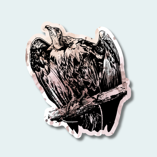 Hooded Vulture (Limited Edition for September) 4in Sticker