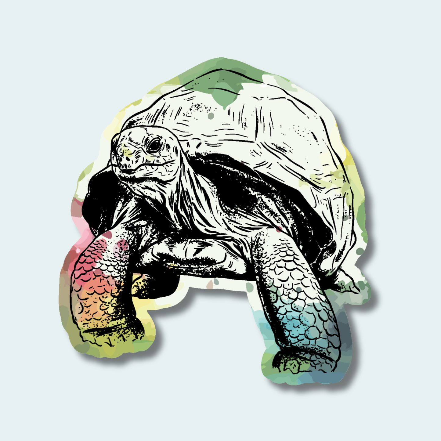 Aldabra Tortoise (Limited Edition for September) 4in Sticker