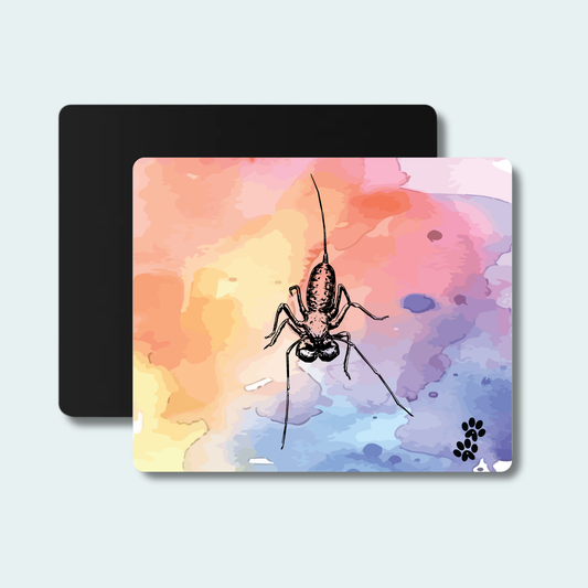 Vinegaroon (Limited Edition for July) Mouse pad