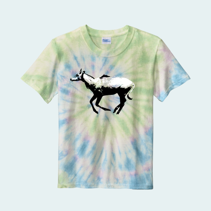 Nilgai (Limited Edition for June) Tie Dye Unisex Tee
