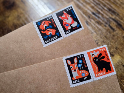 Anonymous Animal Eclosed - Letters from the Field (Monthly Subscription)