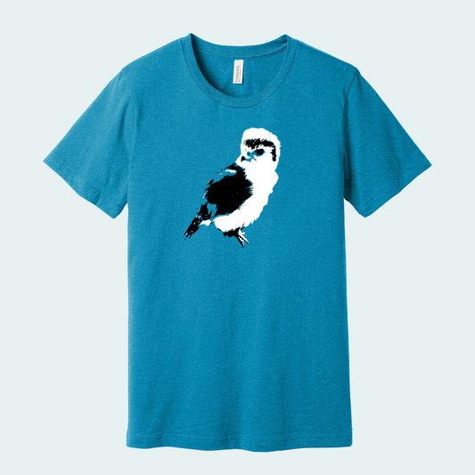 Pygmy Falcon (Limited Edition) Unisex Tee